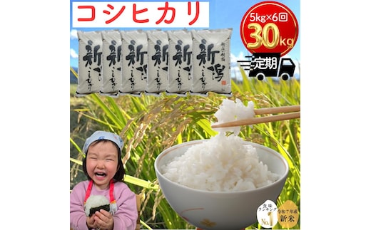 令和7年 新潟県産コシヒカリ 30kg 30キロ（5kg×6回） 定期便 （毎月発送） 米ヴィレッジさんわ 自社精米 米 白米 送料無料 限定