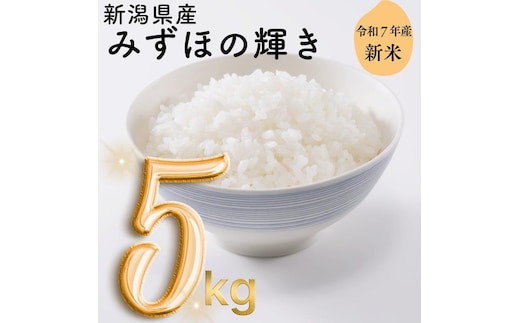 令和7年 新潟県産みずほの輝き 5kg 5キロ 白米 精米 送料無料 上越市 米ヴィレッジさんわ 低温貯蔵 品質管理徹底