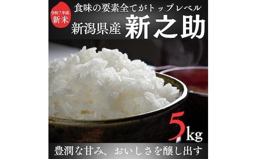 令和7年 新潟県産新之助 5kg 5キロ 白米 精米 送料無料 上越市 米ヴィレッジさんわ 低温貯蔵 品質管理徹底