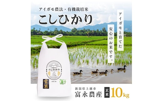 令和7年 新潟県産コシヒカリ アイガモ農法 玄米 10kg 10キロ（5kg×2） JAS有機栽培米 上越市 三和区神田 富永農産 送料無料 安全・安心こしひかり