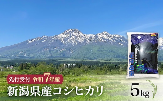 【令和7年産 コシヒカリ】10月中旬より順次発送 新潟県産コシヒカリ 5kg 上越市 米 こめ コメ お取り寄せ
