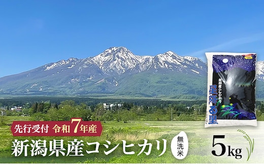 【令和7年産 | 無洗米 コシヒカリ】10月中旬より順次発送 無洗米 新潟県産コシヒカリ 5kg 上越市 米 こめ コメ お取り寄せ