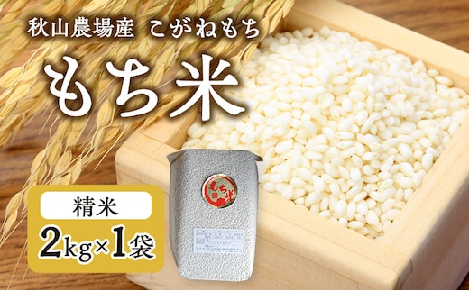 【もち米】【真空チャックパック】新潟産こがねもち（もち米）2Kg×1袋 新潟 上越