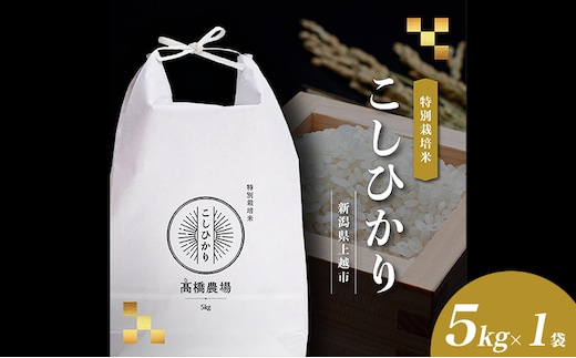 【新潟県上越市産】特別栽培米 コシヒカリ 令和7年産 5kg（5kg×1袋）ご飯 おにぎり