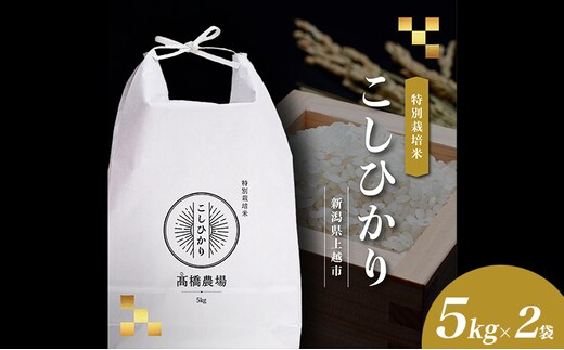 【新潟県上越市産】特別栽培米 コシヒカリ 令和7年産 10kg（5kg×2袋）ご飯 おにぎり