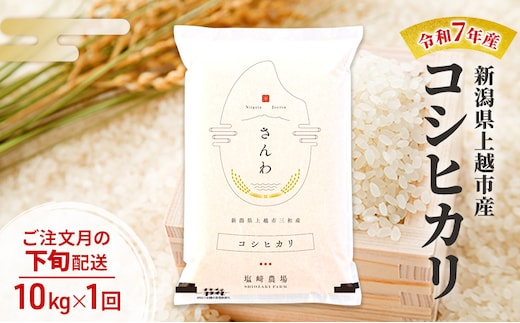 令和7年産 新潟県 上越市産 コシヒカリ10kg 白米 ※ご注文月の下旬配送