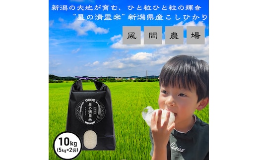 新米 令和7年 新潟県上越市産 従来 コシヒカリ 精米済10kg（5kg×2袋） 10キロ こしひかり お米 米 精米 送料無料