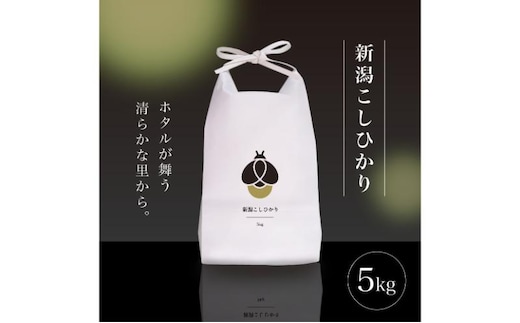 新米 令和7年産 5kg 5キロ 新潟県 上越市産 コシヒカリ おおしま育ち 精米 お米 お取り寄せ 11月上旬より出荷開始