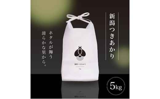 新米 令和7年産 5kg 5キロ 新潟県 上越市産 つきあかり おおしま育ち 精米 お米 お取り寄せ 11月上旬より出荷開始
