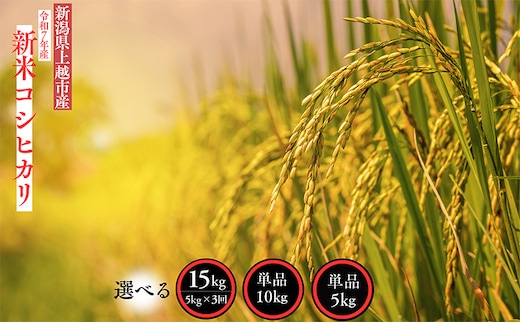 【定期便 | 3回配送】新米 令和7年産 新潟県 上越市産 コシヒカリ 5kg×3回 5キロ 精米 10月下旬より順次出荷 3ヶ月 米 お米 白米 お楽しみ