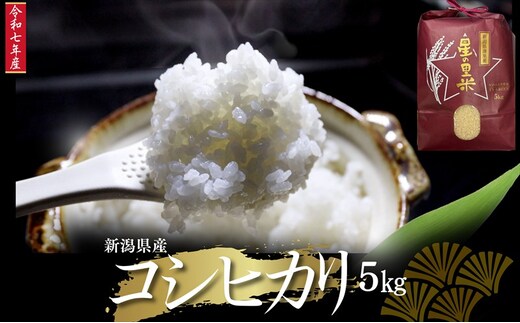 新米 令和7年 新潟県産 コシヒカリ 5kg 5キロ 上越市 清里産 星の里米 TY GREEN 白米 精米 送料無料 2025年10月上旬より順次発送