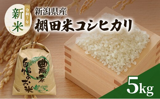 新米 令和7年 新潟県産 棚田米 コシヒカリ 5kg 5キロ 米 上越市 清里区 厳選 こしひかり 白米 精米