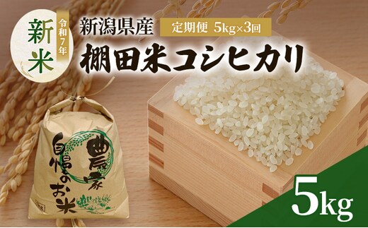 定期便5kg×3袋（計15kg）新米 令和7年 新潟県産 棚田米 コシヒカリ 5kg 5キロ 米 上越市 清里区 厳選 こしひかり 白米 精米