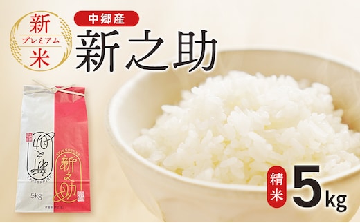 新米 令和7年 新潟県 上越市産 新之助 5kg やまざきふぁーむ 送料無料 精米 5キロ お米 コメ 白米 上越市 中郷区 中郷産