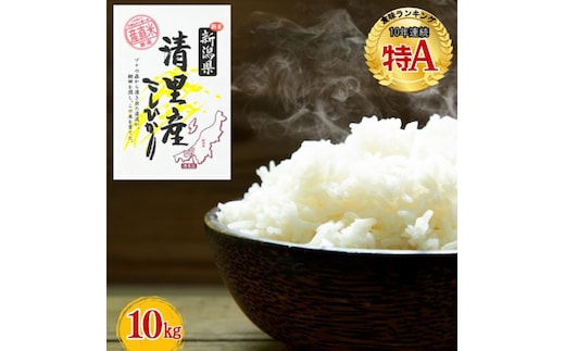 【1月中旬配送】令和7年産 新潟県 清里産コシヒカリ 10kg 上越市 白米 こめ 新潟 新潟県産 上越