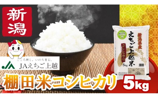 【5月上旬配送】令和7年産 新米 えちご上越米 棚田米 コシヒカリ 5kg 5キロ 上越市 精米 米 コメ おすすめ