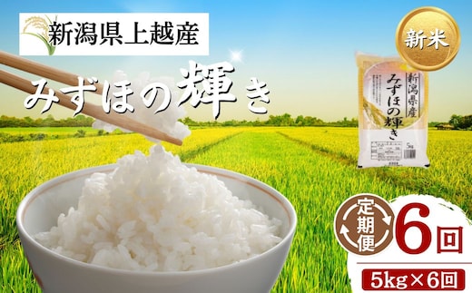 【先行予約】令和8年 新米 新潟上越産 みずほの輝き 定期便 【6ヶ月連続お届け】5kg×6回 30kg 新潟 新潟県 限定