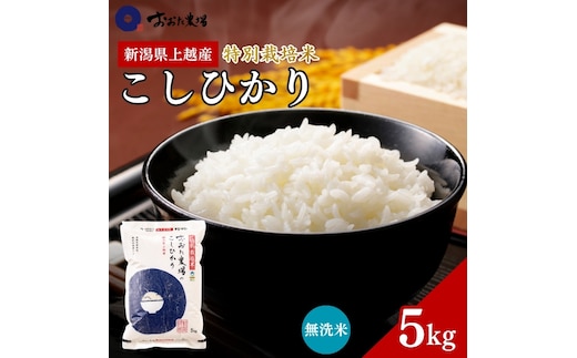 米 【令和7年産】 新潟県上越産 特別栽培米 コシヒカリ 【無洗米】 5kg 5キロ お米 こめ 白米 こしひかり