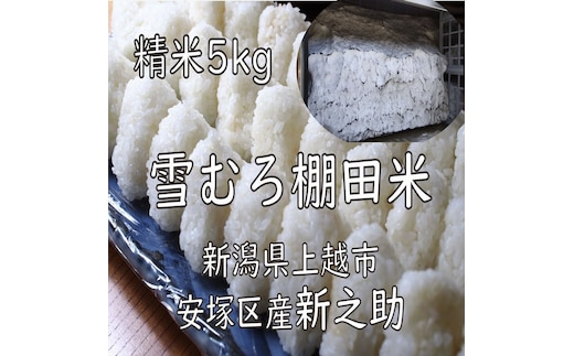 令和7年 新潟県産 棚田米 新之助 精白米 5kg 5キロ 雪中貯蔵 雪むろ しんのすけ 精米 お米 こめ 新潟 上越 米 送料無料