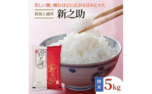 令和8年産 先行予約 新潟上越産 新之助 5kg 5キロ しんのすけ シンノスケ 米 お米 こめ おすすめ 人気 ふるさと納税 新潟 新潟県産 にいがた 上越 上越産 定期便 送料無料