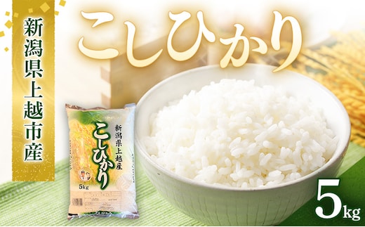 令和7年産 新潟県上越市産 コシヒカリ 5kg 5キロ こしひかり お米 精米 ご飯 上越市 アグリサポータークリモト