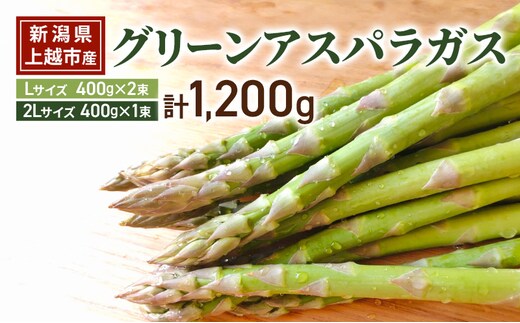 グリーン アスパラガス Lサイズ 400g×2束 ｜2Lサイズ 400g×1束 計1.2kg 令和8年産 国産 産地直送 冷蔵配送 新潟県上越市産 横山農園 