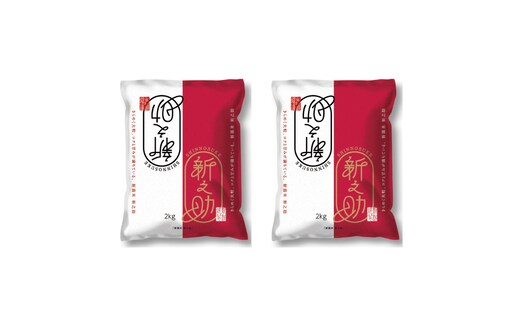 【10月下旬配送】 新之助 4kg 新潟県 上越市産 令和8年産 お米 精米 米 ご飯 送料無料 レッドホースコーポレーション