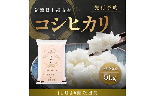 先行予約【11月より順次出荷】令和8年産 新潟県 上越市産 コシヒカリ 5kg 白米 精米 送料無料 塩崎農場