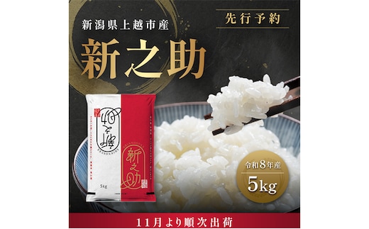 先行予約【11月より順次出荷】令和8年産 新潟県 上越市産 新之助 5kg 白米 精米 送料無料 塩崎農場