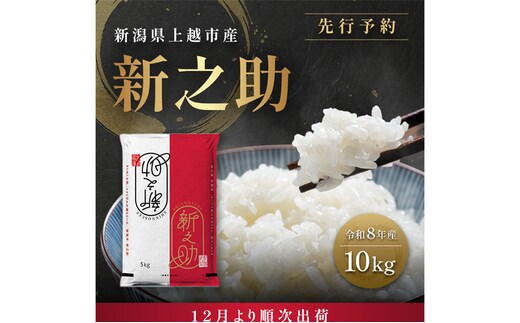 先行予約【12月より順次出荷】令和8年産 新潟県 上越市産 新之助 10kg（5kg×2袋） 白米 精米 送料無料 塩崎農場
