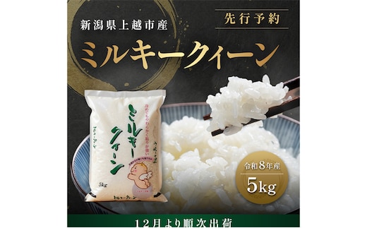 先行予約【12月より順次出荷】令和8年産 新潟県 上越市産 ミルキークイーン 5kg 白米 精米 送料無料 塩崎農場