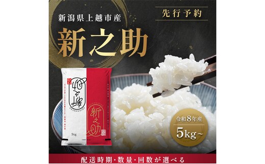 先行予約 定期便3回配送【10月より順次出荷※下旬配送】令和8年産 新潟県 上越市産 新之助 5kg （計15kg）白米 精米 送料無料 塩崎農場