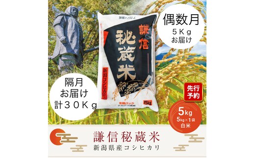 先行予約 令和8年産 新潟県産 コシヒカリ 定期便 偶数月発送（5kg×6回分） 謙信秘蔵米 真空 窒素挿入 冬眠パック 精米 上越市 上杉謙信 新米