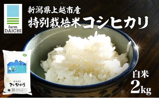 令和7年 新潟県上越市産 特別栽培米 コシヒカリ 2kg 2キロ お米 コメ こしひかり ふぁーむ大地