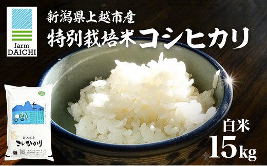 令和7年 新潟県上越市産 特別栽培米 コシヒカリ 15kg （5kg×3袋）お米 コメ こしひかり ふぁーむ大地