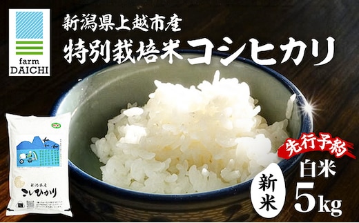 先行予約 令和8年 新米 新潟県上越市産 特別栽培米 コシヒカリ 5kg 5キロ お米 コメ こしひかり ふぁーむ大地