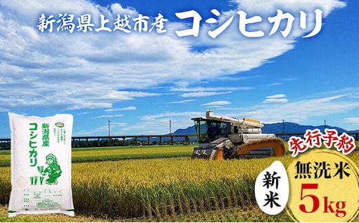 先行予約 令和8年 新米 新潟県上越市産 無洗米 コシヒカリ 5kg 5キロ お米 コメ こしひかり ふぁーむ大地