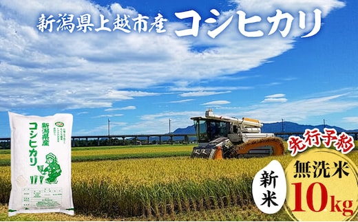 先行予約 令和8年 新米 新潟県上越市産 無洗米 コシヒカリ 10kg （5kg×2袋）お米 コメ こしひかり ふぁーむ大地