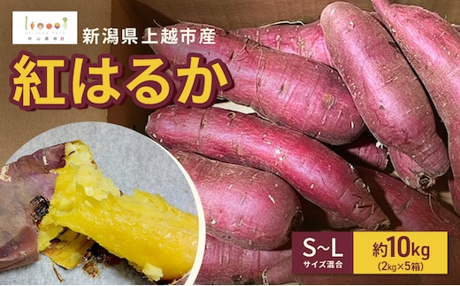 新潟県上越市産 紅はるか サツマイモ さつまいも S-Lサイズ混合 約10kg（2kg×5箱） 秋山農場グリーンプロジェクト