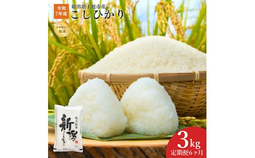 令和7年産 新潟県上越産こしひかり 精米 3kg 6か月定期便 上越市 米 コメ コシヒカリ