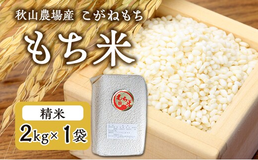 先行予約 令和8年産 【もち米】【真空パック】新潟産こがねもち 2Kg×1袋 新潟 上越 アフコ 秋山農場