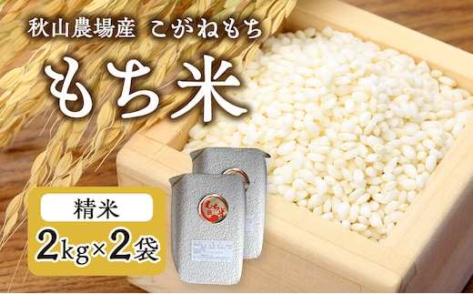先行予約 令和8年産 【もち米】【真空パック】新潟産こがねもち 2Kg×2袋 新潟 上越 アフコ 秋山農場