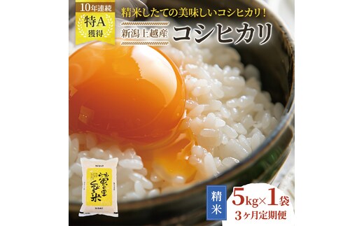 【精米したて！】 令和8年産 新潟県上越市産 コシヒカリ 定期便 5kg×3回 15kg 新米 先行予約 蛍の里