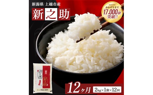 【令和8年産 先行予約】 新之助 無洗米 新潟県 上越産 2kg 12か月 定期便 しんのすけ 五つ星お米マイスターのいるお店 お米 精米 米 ご飯 大黒屋商店