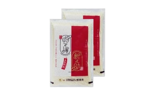 【令和8年産 先行予約】 新之助 無洗米 新潟県 上越産 10kg (5kg×2) 12か月 定期便 しんのすけ 五つ星お米マイスターのいるお店 お米 精米 米 ご飯 大黒屋商店