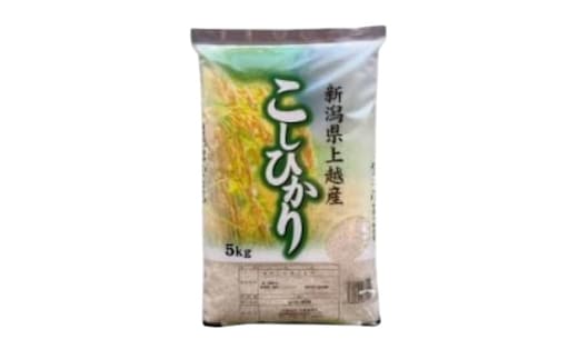 【令和8年産 先行予約】 コシヒカリ 無洗米 新潟県 上越産 5kg 6か月 定期便 こしひかり 五つ星お米マイスターのいるお店 お米 精米 米 ご飯 大黒屋商店