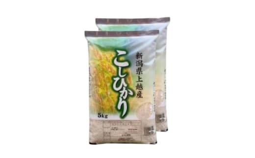 【令和8年産 先行予約】 コシヒカリ 無洗米 新潟県 上越産 10kg (5kg×2) 12か月 定期便 こしひかり 五つ星お米マイスターのいるお店 お米 精米 米 ご飯 大黒屋商店