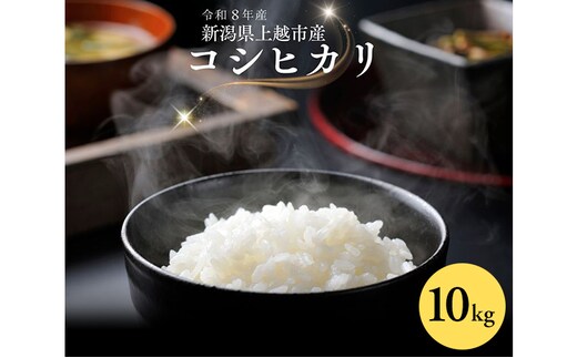 令和8年産 先行予約 新潟県 上越市産 コシヒカリ 10kg 10キロ こしひかり 新米 田中善大