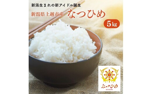 令和8年産 新米 新ブランド 【なつひめ】 新潟県上越市産 5kg 5キロ 先行予約 新品種 蛍の里