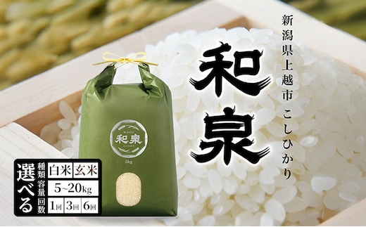 先行予約 新米 令和8年 新潟県 上越産 こしひかり 5kg 5キロ 和泉 ワイズファーム 上越市 精米 米 ギフト 喜ばれる コシヒカリ